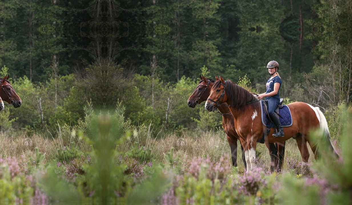 Horseback-riding-and-treks-5